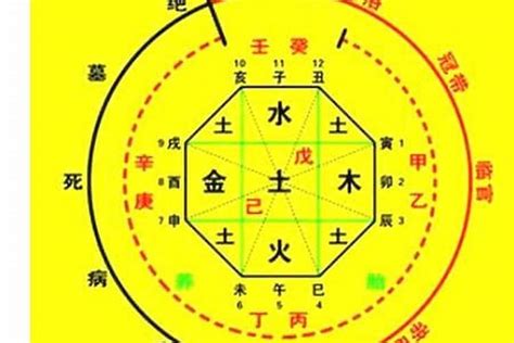 八字五行屬性查詢|生辰八字算命、五行喜用神查詢（免費測算）